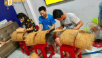 Tuyển dụng Nhân Viên Kinh Doanh 