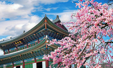 Tiếng nhật